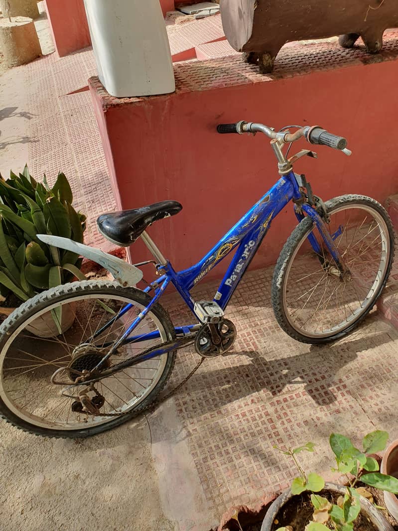 Cycle Panasonic 1