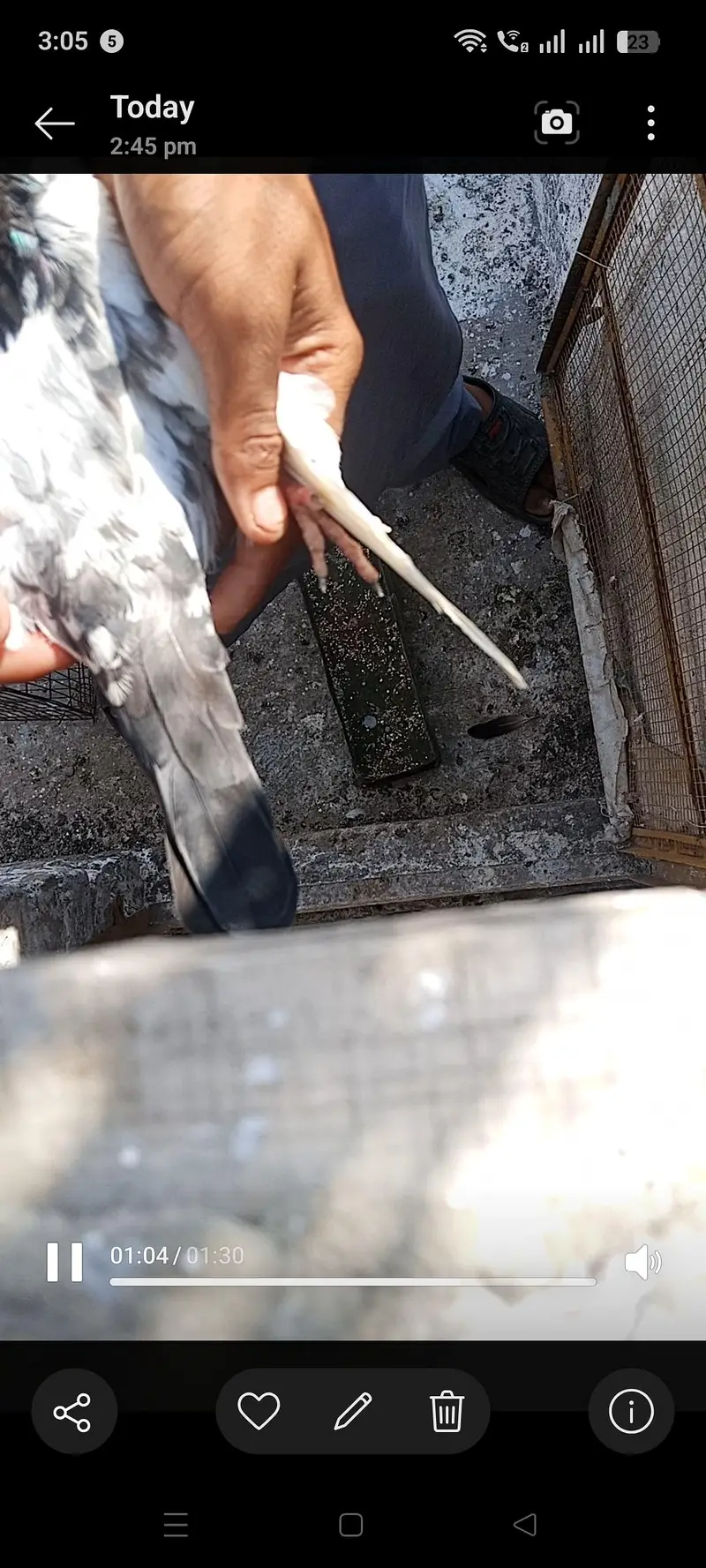 pure tady nar pure batari madi — photo 5