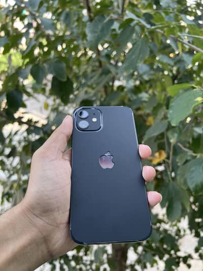 Apple iPhone 12