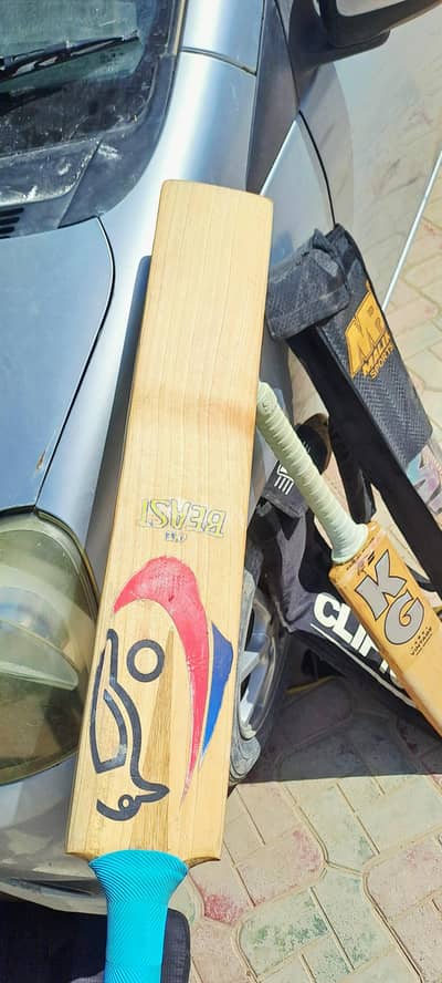 kookabura grade1 bat