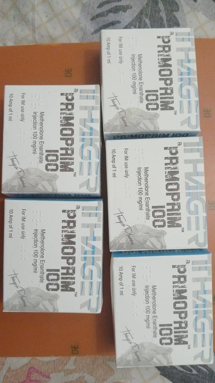 gym supplements 5