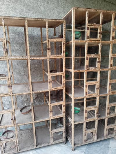 birds cage