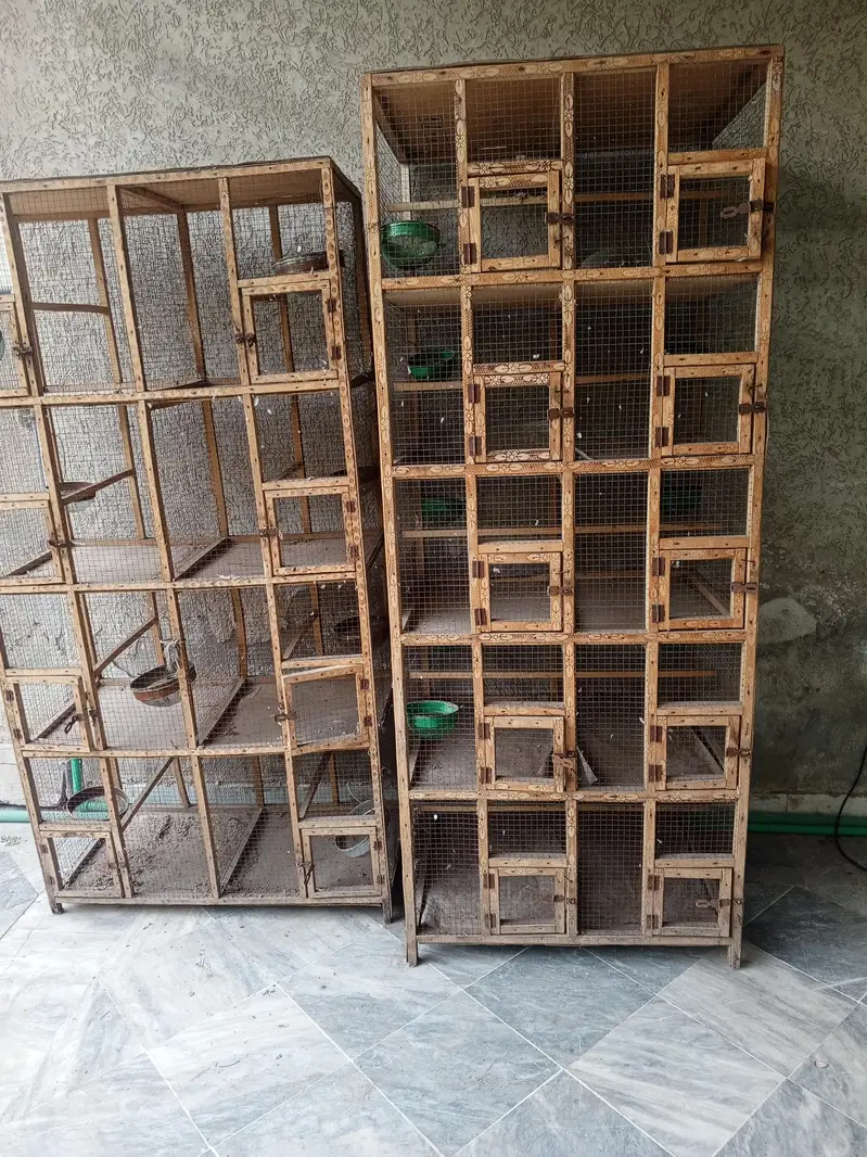birds cage — photo 3