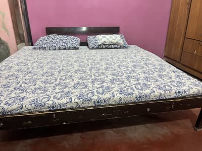 Sofa Cum Bed with Original Mattress | Double bed | Cozy and Comfy