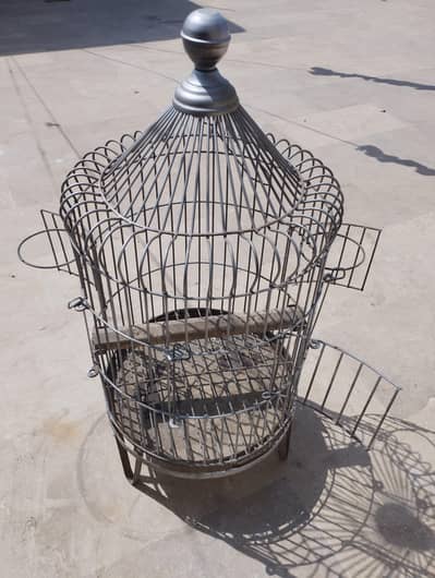 Pahari/Ringneck/Sun conure Parrot Cage