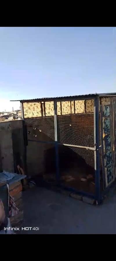 using as storage room birds ivory and any Animal shelter
