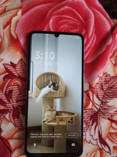 Tecno Spark Go