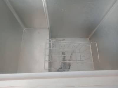 waves dee freezer