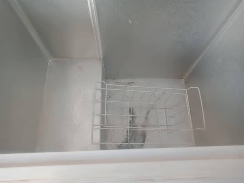 waves dee freezer 0