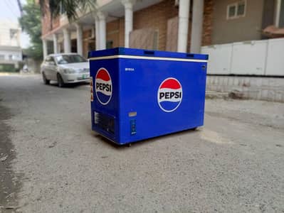 P D freezer singel door (0316/442/6969) fit piece