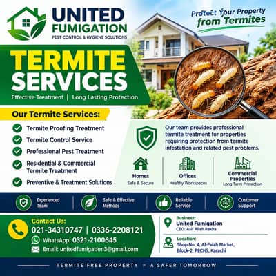 Termite Proofing Treatment Karachi | Professional Termite Control