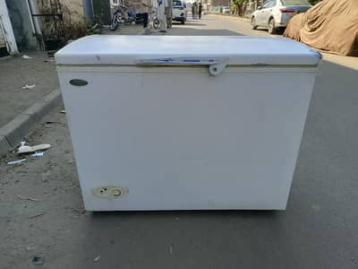 Haier Single Door Deep Freezer Genuine Condition (0321/0807777)