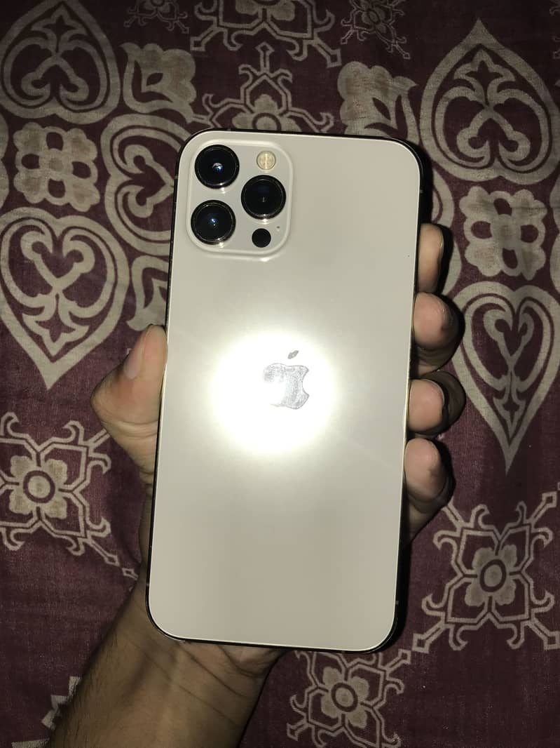 Apple iPhone 12 Pro Max 1