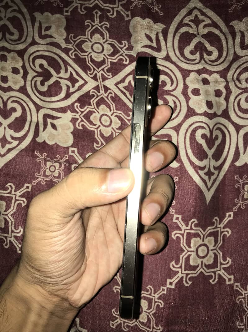 Apple iPhone 12 Pro Max 2