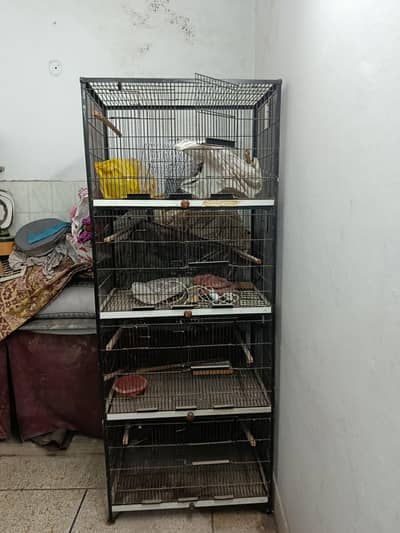 Raw Parrot cage is available  for sale