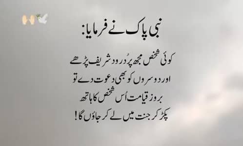 Available Quran Teacher