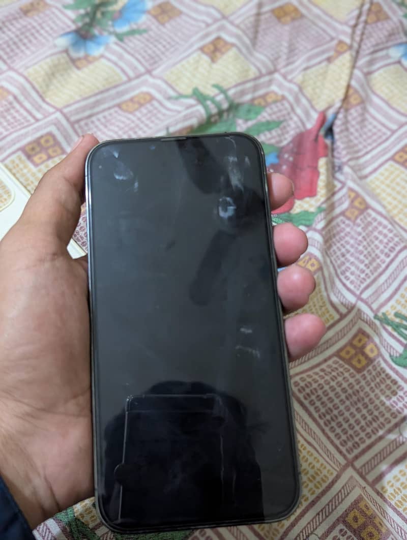 Apple iPhone 13 Pro Max 1