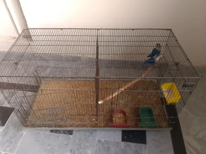 Full setup Urgent sale — photo 4