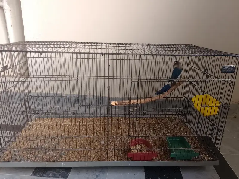Full setup Urgent sale — photo 5