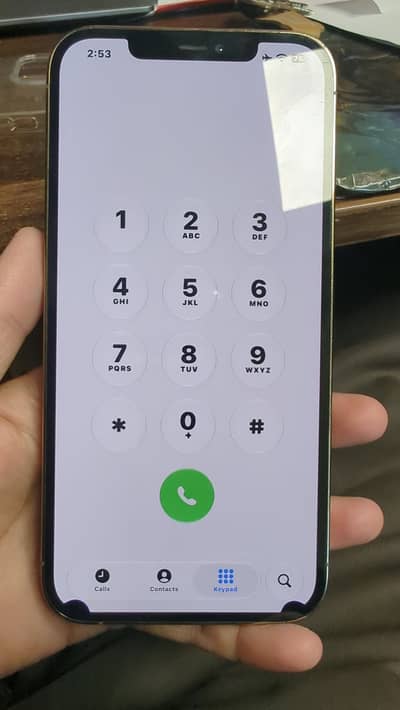 Apple iPhone 12 Pro Max