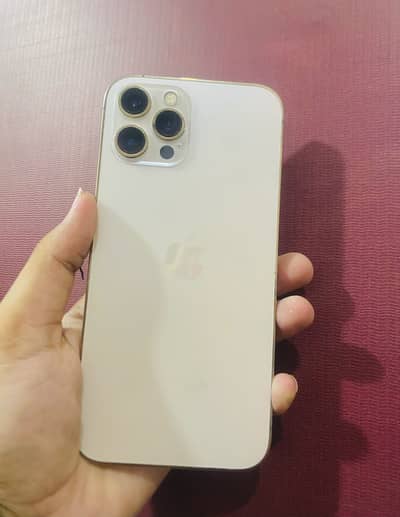 Apple iPhone 12 Pro Max PTA Approved 256