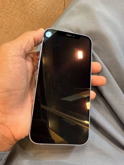 Apple iPhone 12