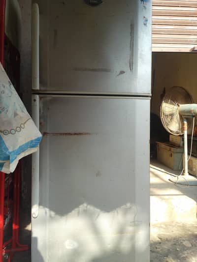 fridge