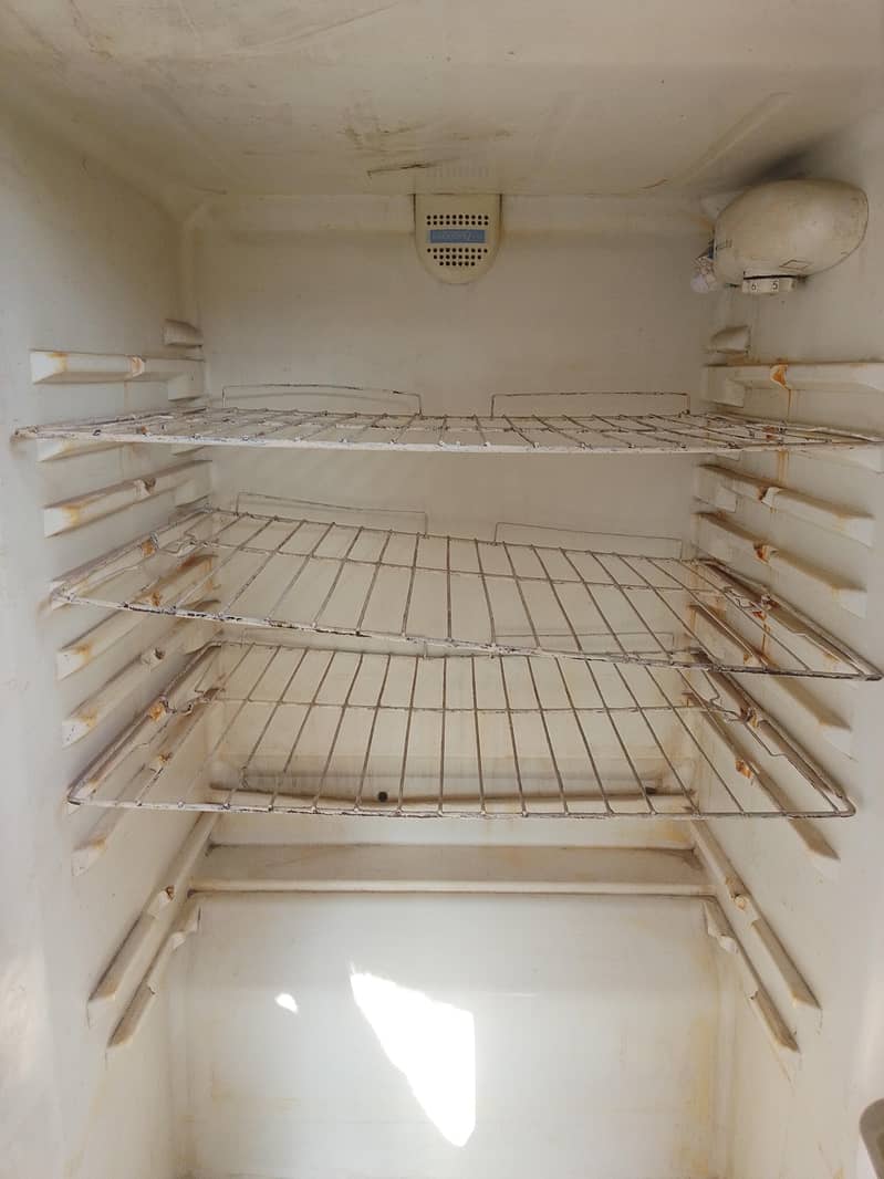 fridge 3