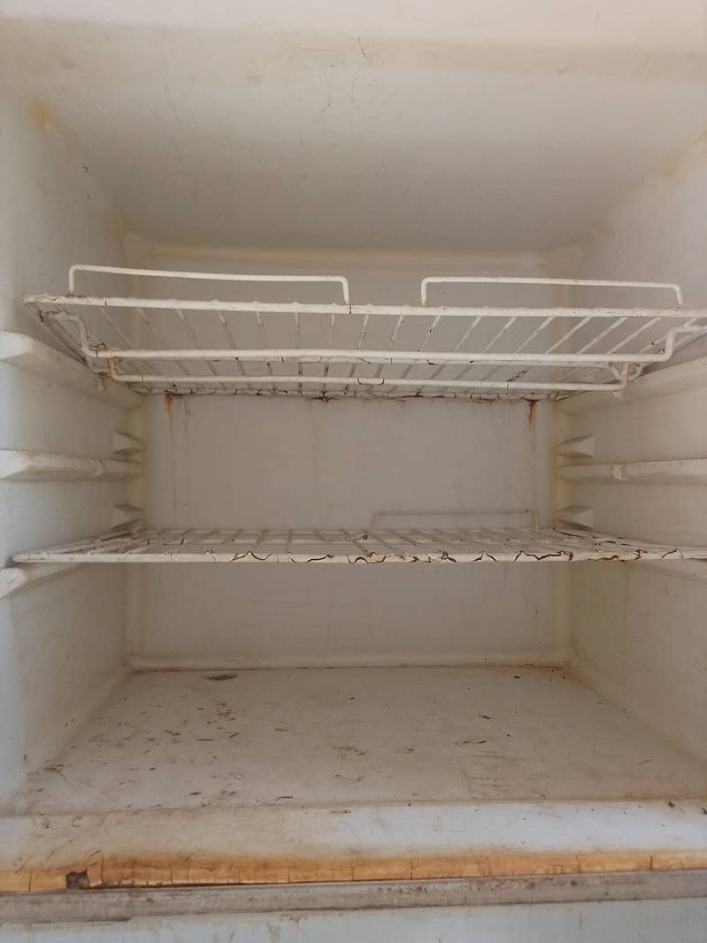 fridge 4