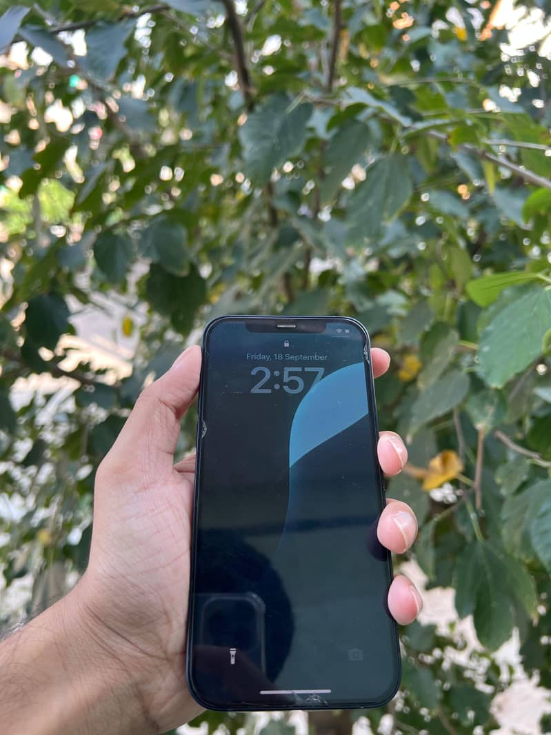 Apple iPhone 12 0