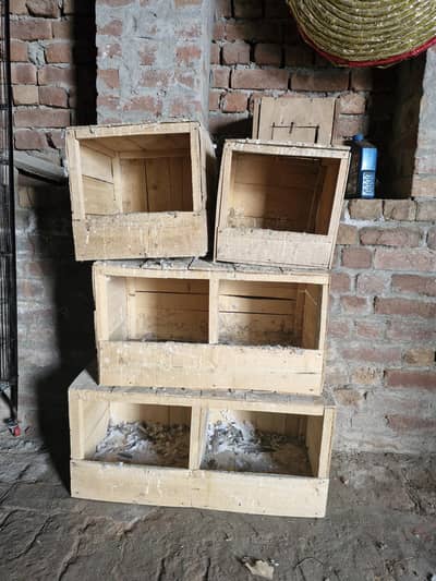 Pegion breeding boxes