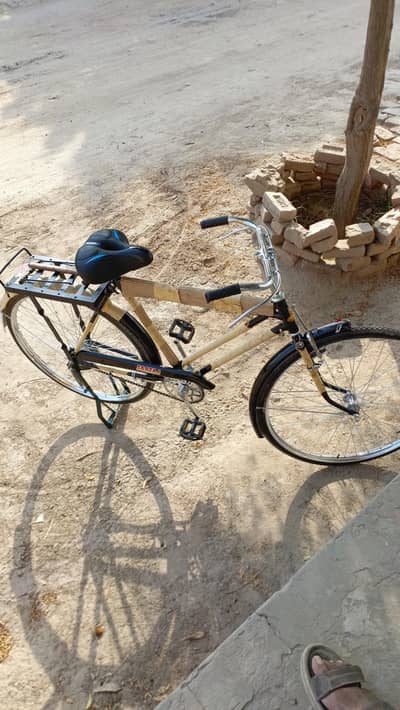 Bicycle
