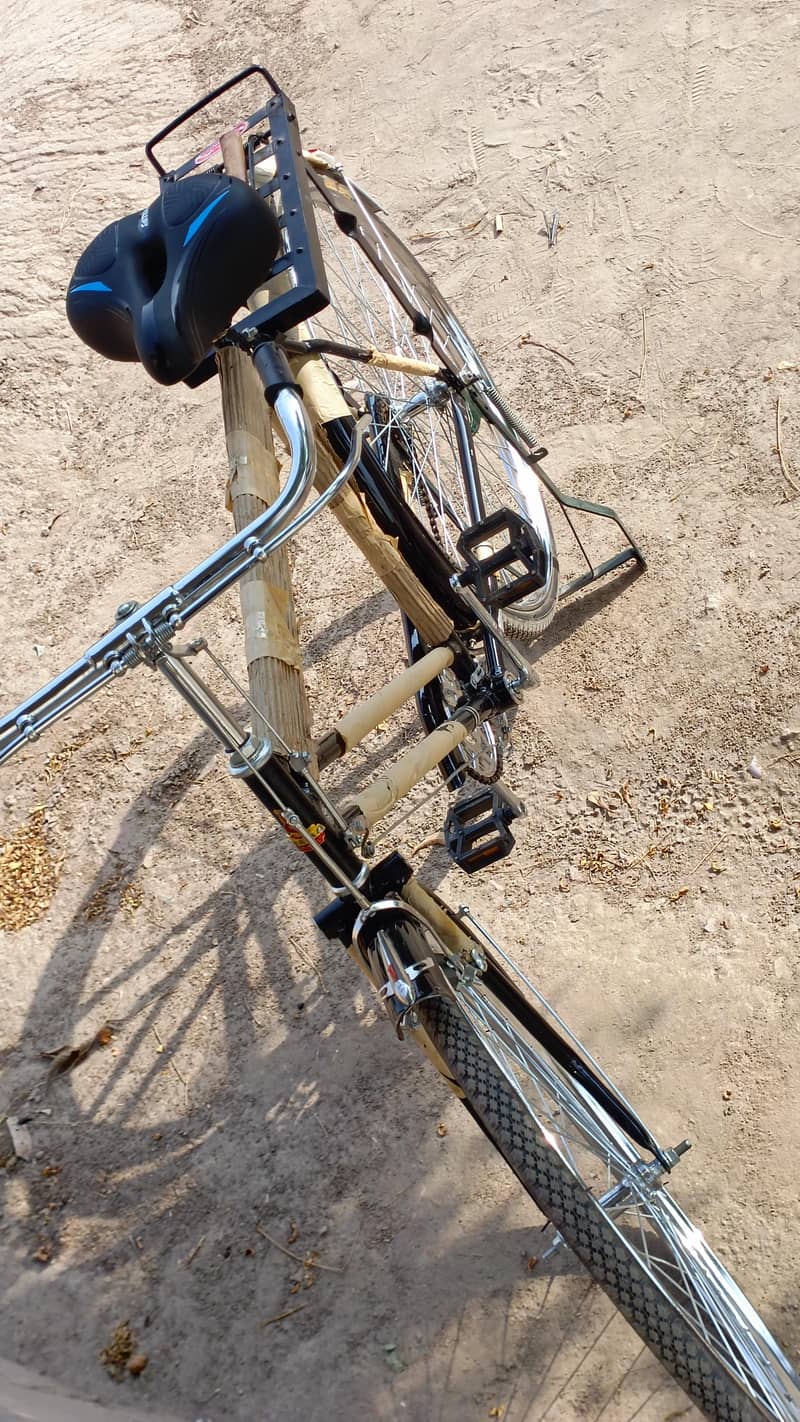 Bicycle 1
