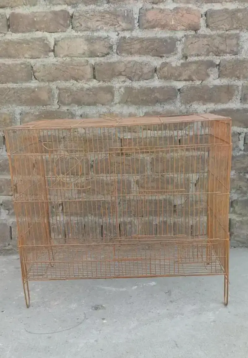 Zarar cage