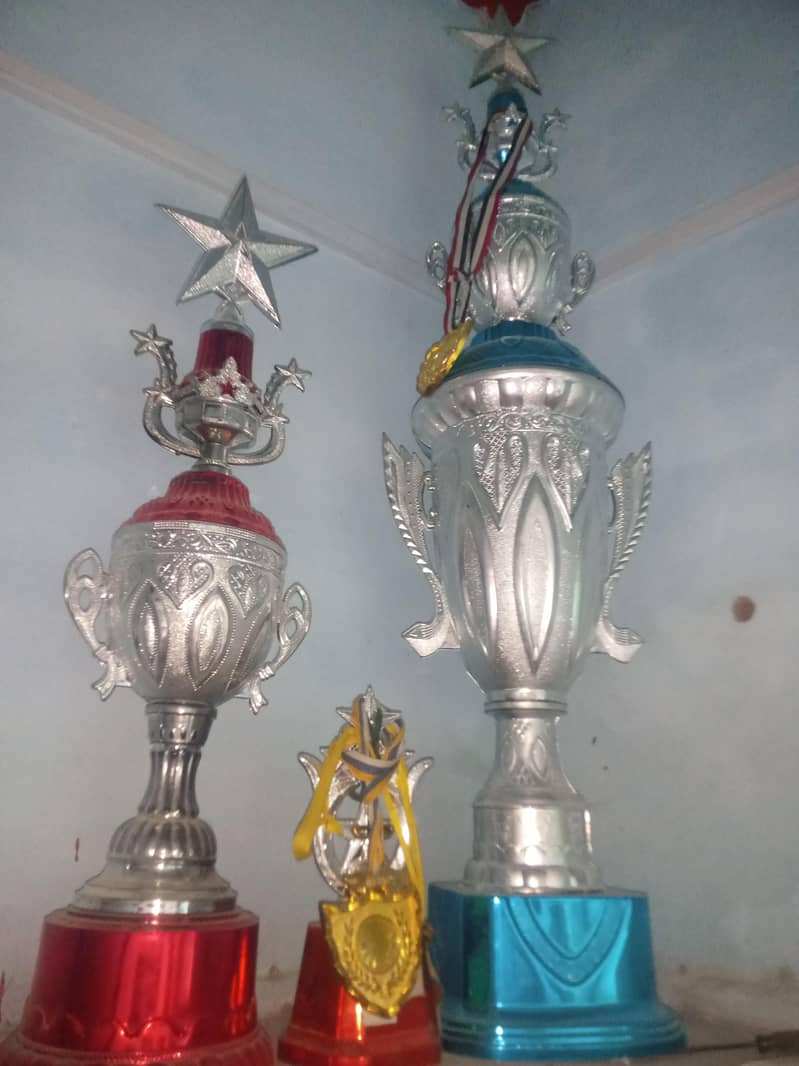 trophy Large. mediuem 0