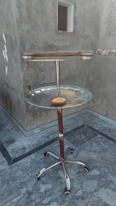 taim birds stand