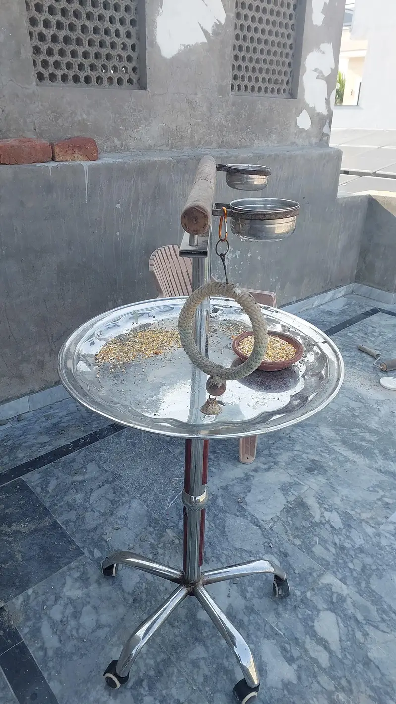 taim birds stand — photo 2