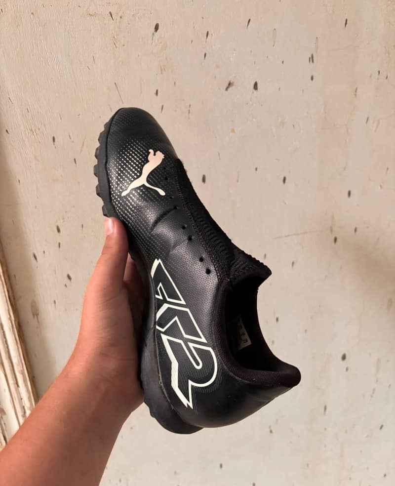 original puma 1
