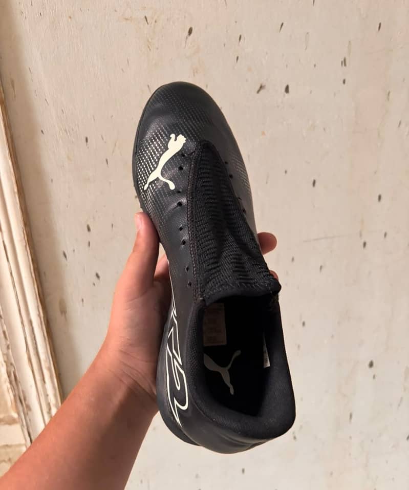 original puma 2