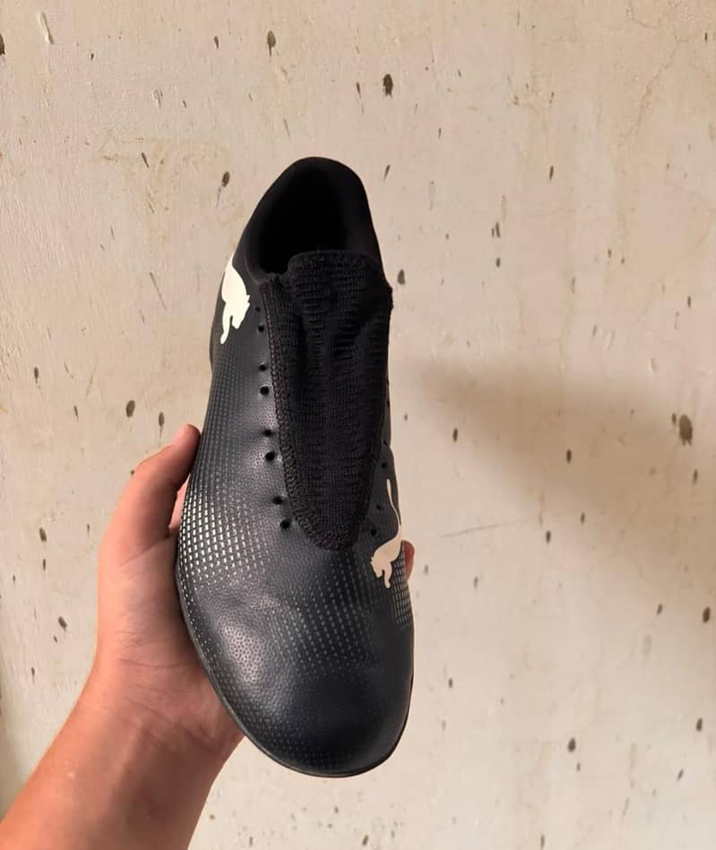 original puma 3