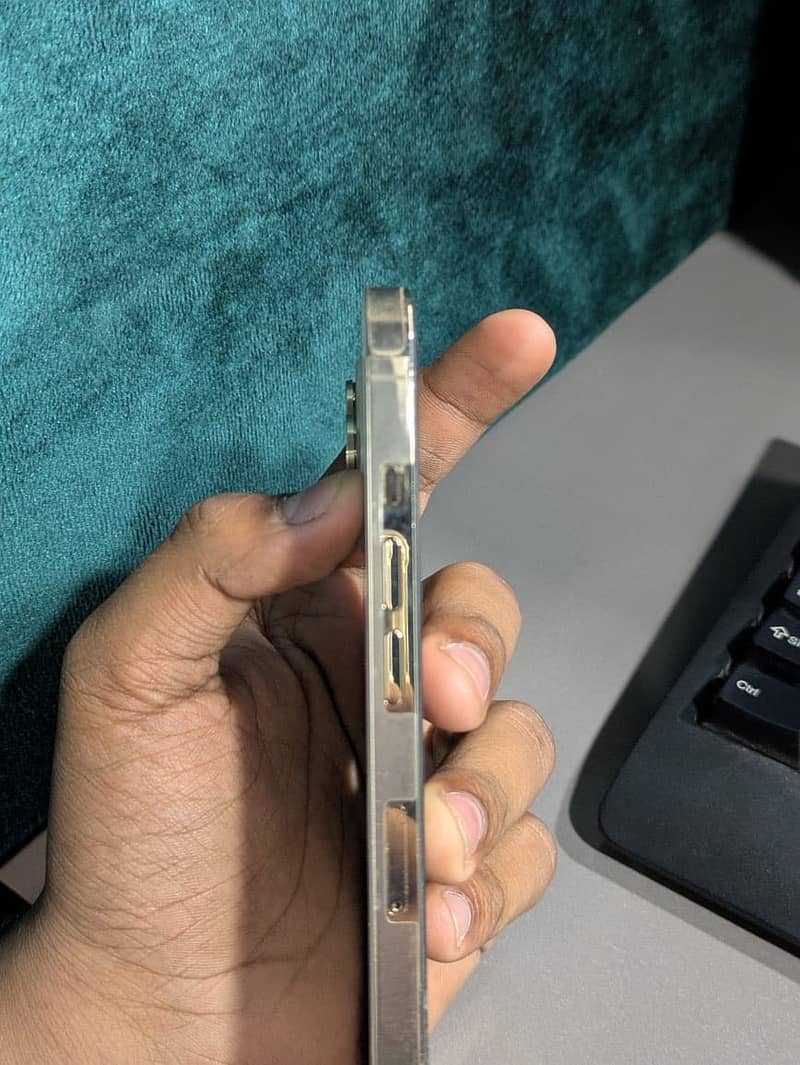 Apple iPhone 12 Pro Max 1