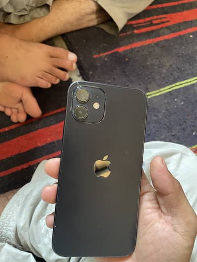 Apple iPhone 12