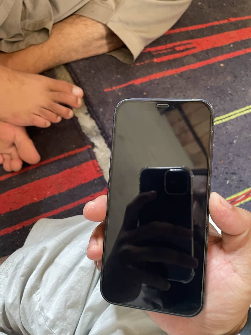 Apple iPhone 12 1