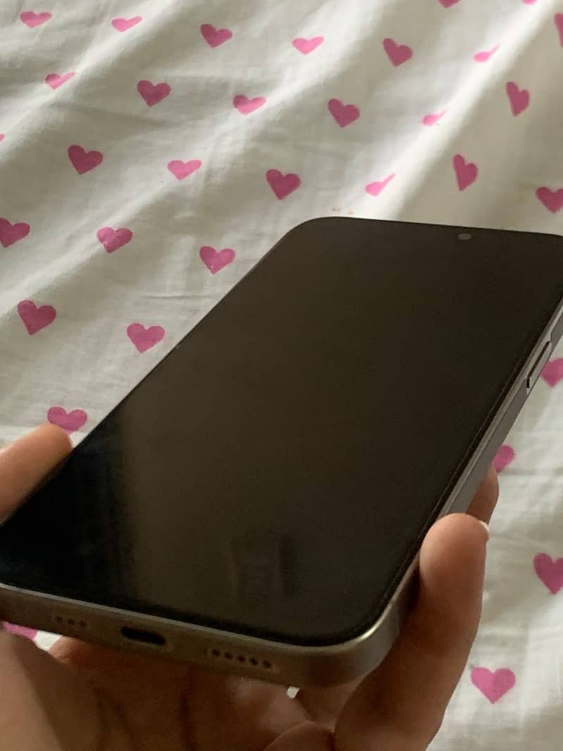 Apple iPhone 15 Pro Max 0