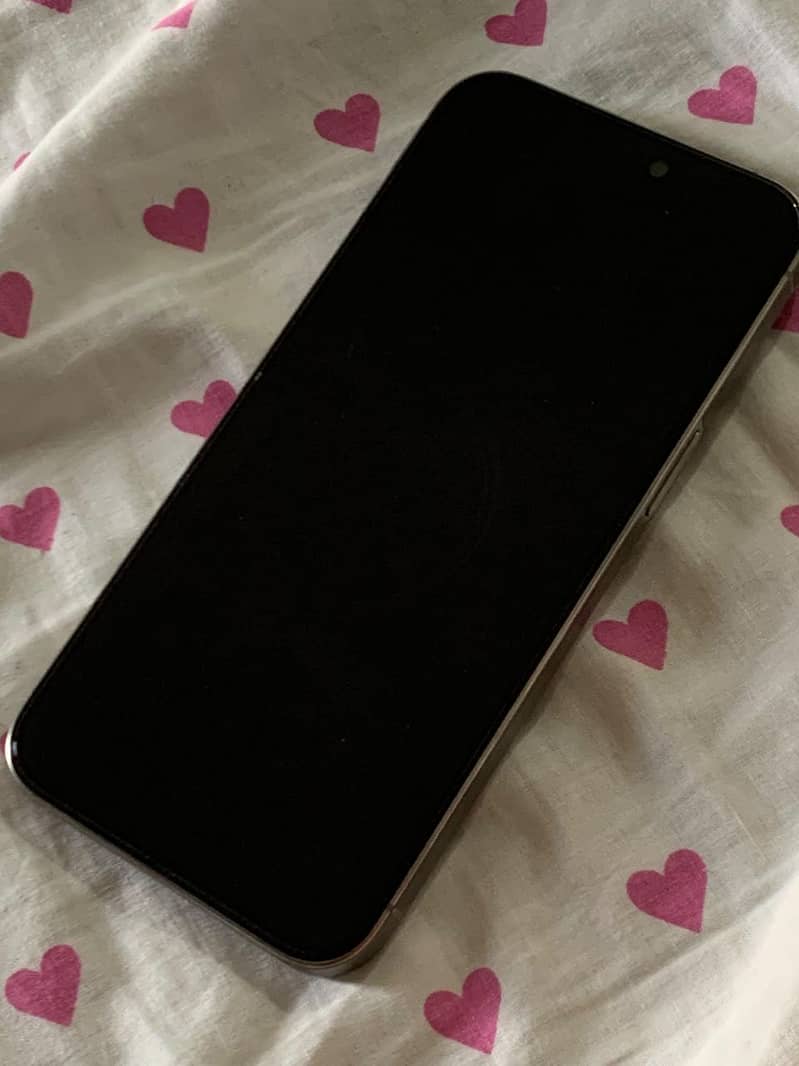 Apple iPhone 15 Pro Max 3