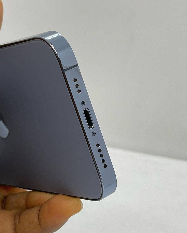 Apple iPhone 13 Pro Max 2
