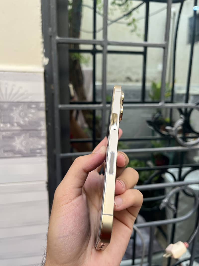 Apple iPhone 13 Pro 1