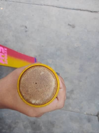 Cricket bat