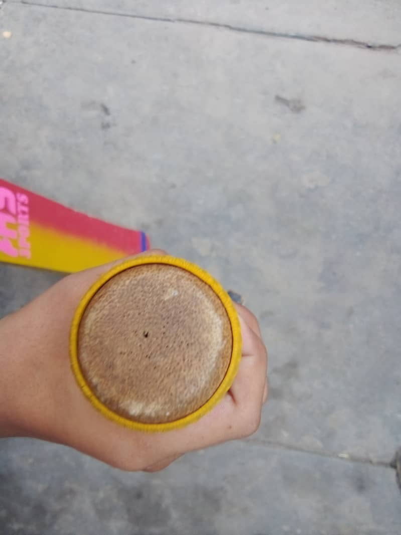 Cricket bat 0