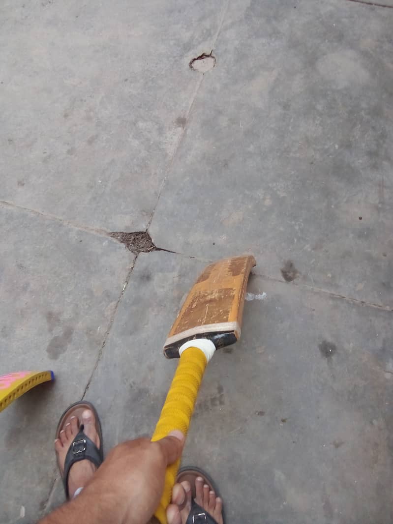Cricket bat 2